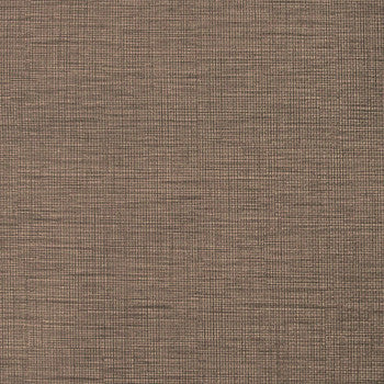 Austen Robusto WAN-015 by Nassimi Fabric See sample 100% Polyurethane USA or Imported Water-based cleaning agents and foam may be used for cleaning. Cleaning by a professional cleaning service is recommended. 54 - Fabric Carolina -