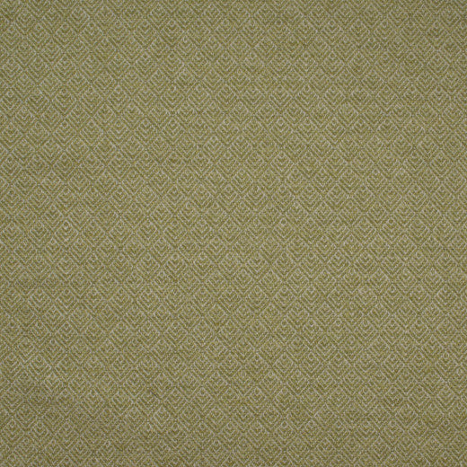 Aztec Paladin - Lime by Europatex Fabric Aztec 82% Polyester, 18% Cotton China See Sample Horizontal: N/A and Vertical: N/A 54.00 inches  - Fabric Carolina -