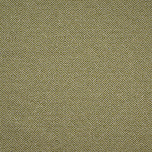 Aztec Paladin Lime by Europatex Fabric