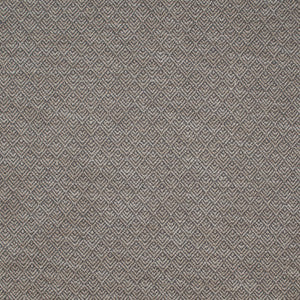 Aztec Paladin Stone by Europatex Fabric