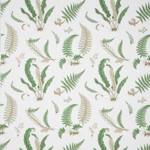 Ferns Print Snow by Lee Jofa Fabric