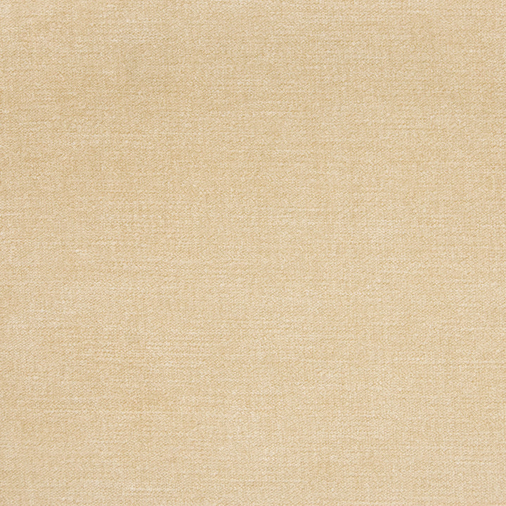 B1253 Sand by Greenhouse Fabric E99: velvets by COLOR 90% Polyester, 10% Nylon China 100,000 double rubs </p><p>Repeat: None 58" - Fabric Carolina -