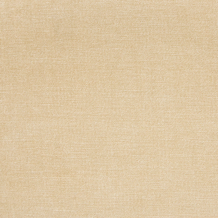 B1253 Sand by Greenhouse Designer Fabric E99: velvets by COLOR 90% Polyester, 10% Nylon China 100,000 double rubs </p><p>Repeat: None 58" - Swanky Fabrics -