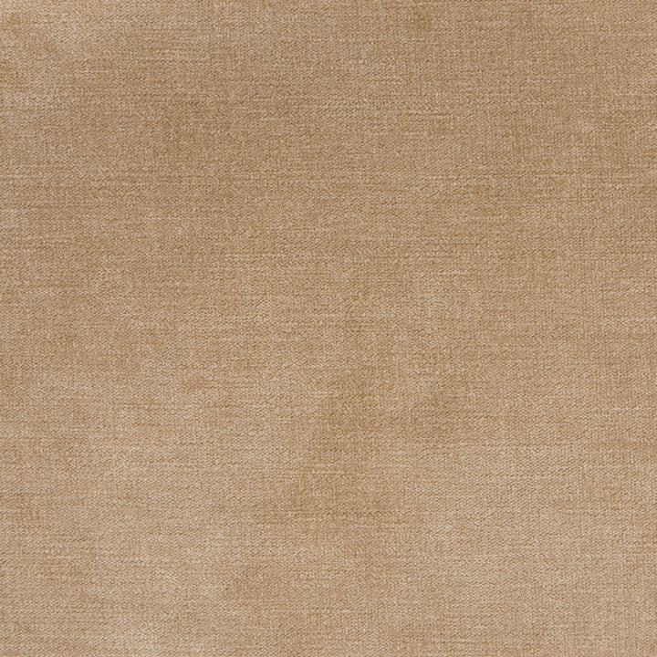 B1255 Taupe by Greenhouse Fabric 90% Polyester, 10% Nylon China 100,000 </p><p>Repeat: None 58" - Fabric Carolina -