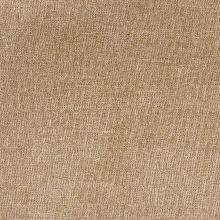 B1255 Taupe by Greenhouse Designer Fabric 90% Polyester, 10% Nylon China 100,000 double rubs </p><p>Repeat: None 58" - Swanky Fabrics -