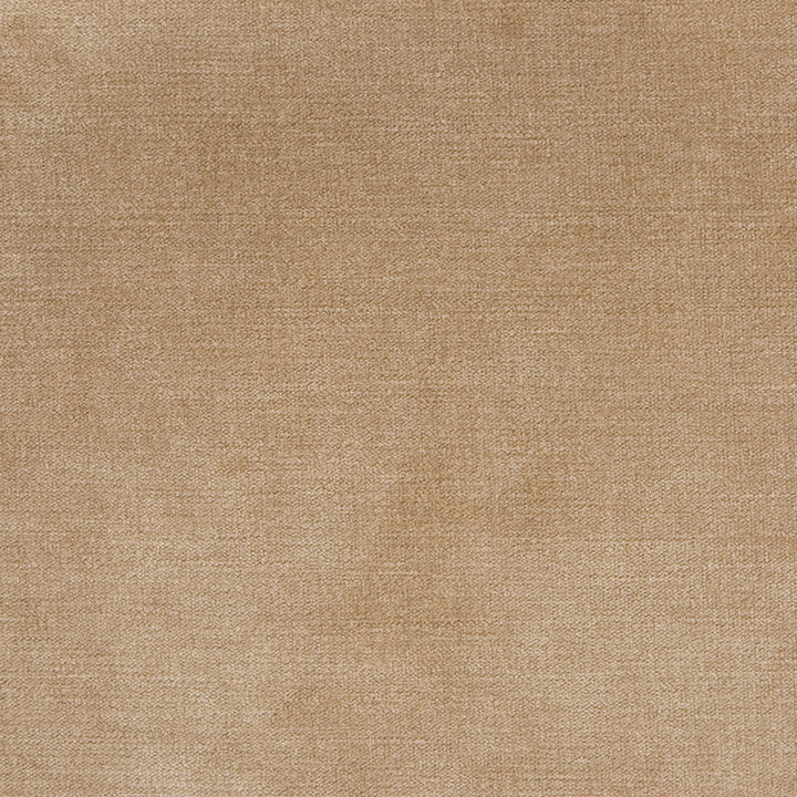 B1255 Taupe by Greenhouse Fabric E99: velvets by COLOR 90% Polyester, 10% Nylon China 100,000 double rubs </p><p>Repeat: None 58" - Fabric Carolina -