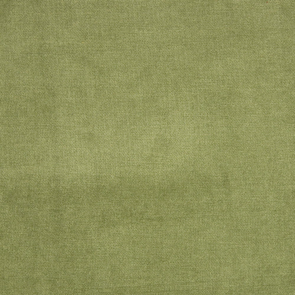 B1272 Fern by Greenhouse Fabric 90% Polyester, 10% Nylon China 100,000 double rubs </p><p>Repeat: None 58" - Fabric Carolina -