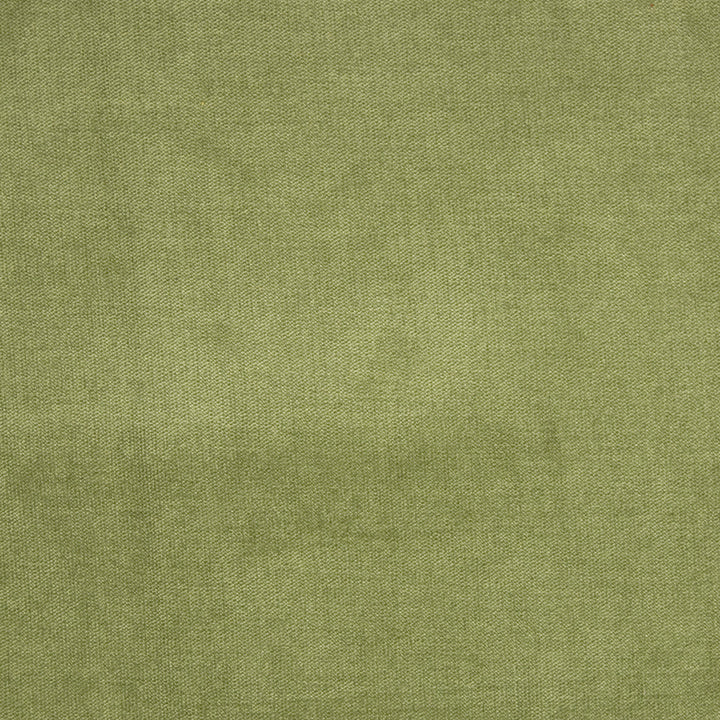B1272 Fern by Greenhouse Fabric 90% Polyester, 10% Nylon China 100,000 double rubs </p><p>Repeat: None 58" - Fabric Carolina -