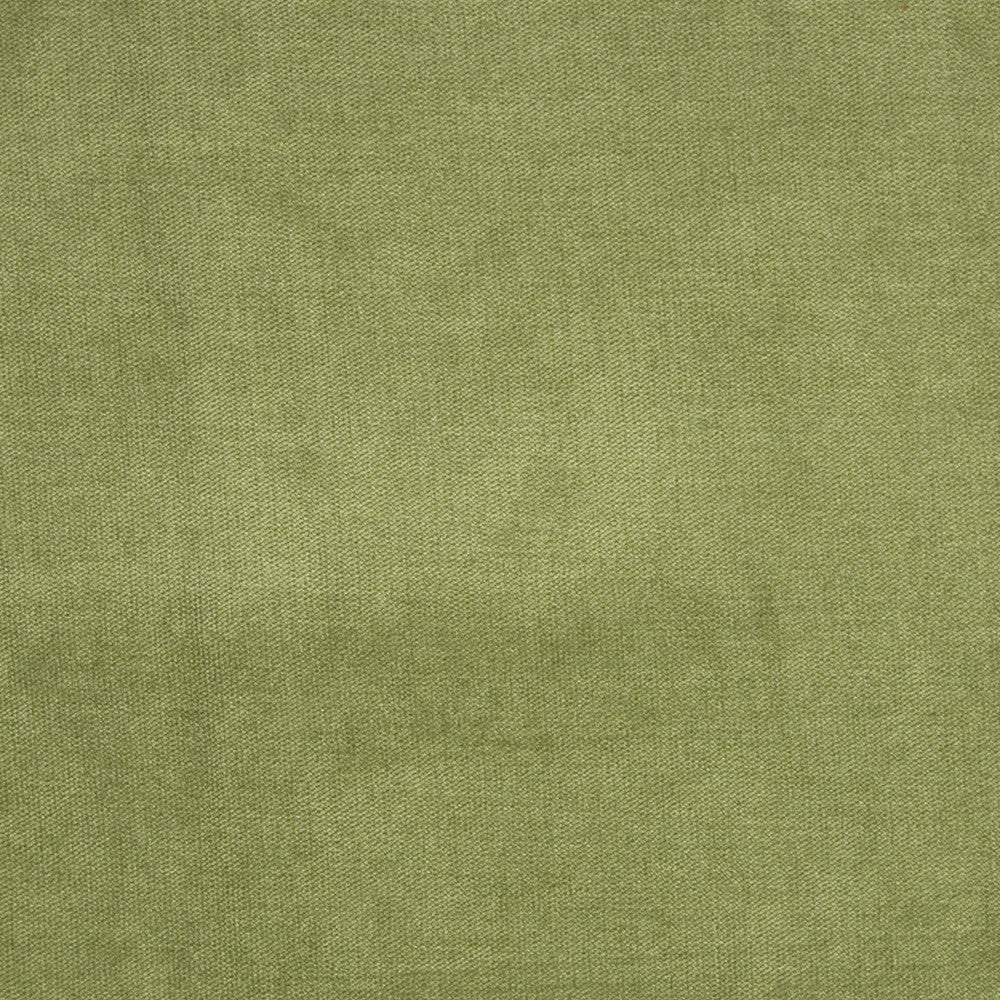 B1272 Fern by Greenhouse Fabric 90% Polyester, 10% Nylon China 100,000 </p><p>Repeat: None 58" - Fabric Carolina -