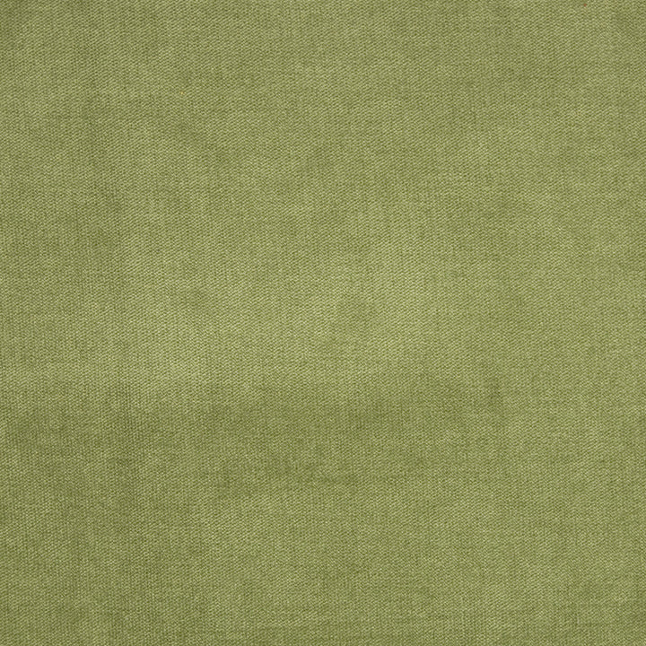 B1272 Fern by Greenhouse Fabric 90% Polyester, 10% Nylon China 100,000 </p><p>Repeat: None 58" - Fabric Carolina -