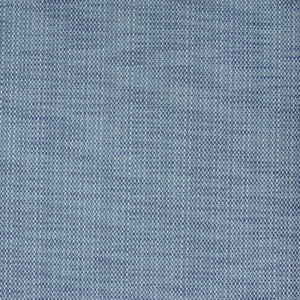 B1423 Denim by Greenhouse Fabric