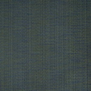 B1427 Indigo by Greenhouse Fabric