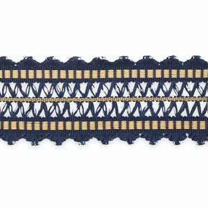 Nikita Braid Midnight/Cashew B181-11 by Schumacher Trim