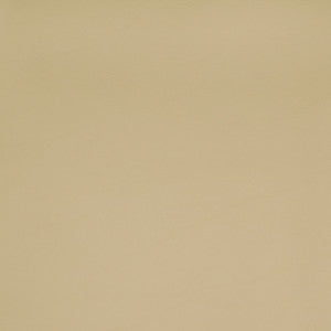 B2361 Allante Hideaway by Greenhouse Fabric