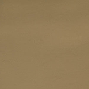 B2363 Allante Tumbleweed by Greenhouse Fabric