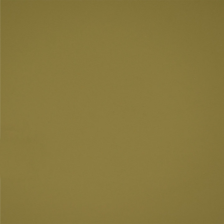 B2370 Parrot by Greenhouse Fabric Face: Vinyl, Back: 100% Polyester, Mellohide 
Weight: 29.25 ± 2 Oz 
Thickness: 45 ± 5 Mils 
Cold Crack: -25°F Canada 100,000 </p><p>Repeat: None 54" - Fabric Carolina -