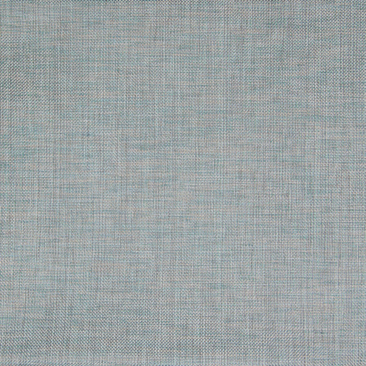 B3478 Zen by Greenhouse Designer Fabric 63% Polyester, 35% Viscose, 2% Polyamide China 37,000 double rubs </p><p>Repeat: None 55" - Swanky Fabrics -
