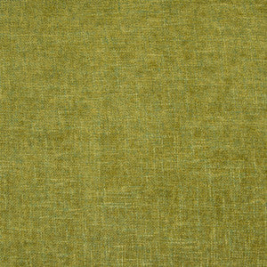 B3822 Fern by Greenhouse Fabric