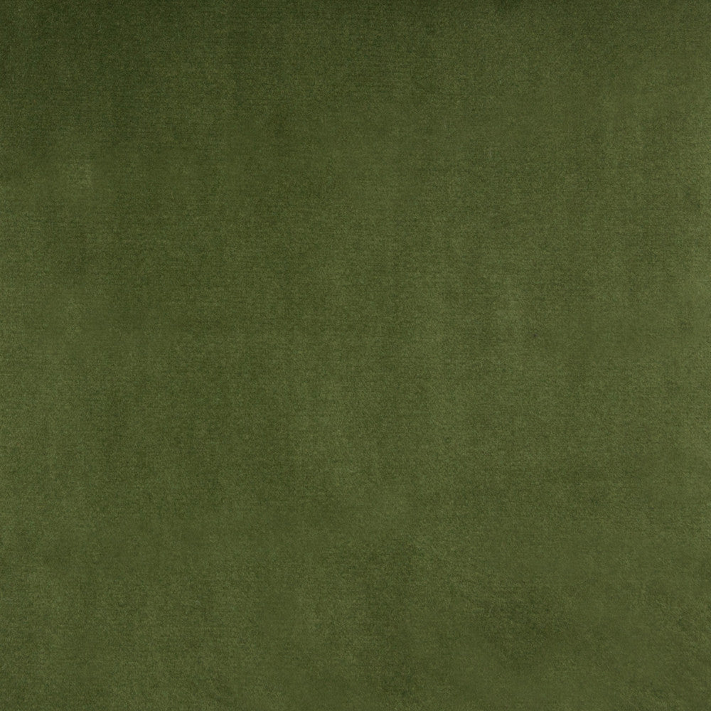 B3880 Meadow by Greenhouse Fabric 100% Polyester China 51,000 double rubs </p><p>Repeat: None 54" - Fabric Carolina -