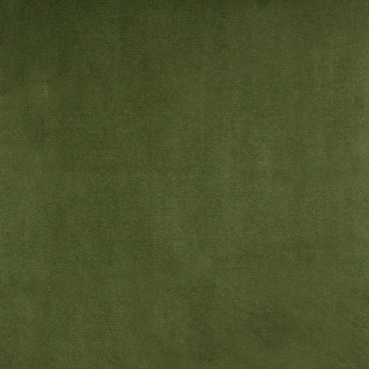 B3880 Meadow by Greenhouse Fabric 100% Polyester China 51,000 double rubs </p><p>Repeat: None 54" - Fabric Carolina -