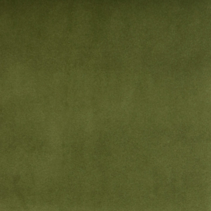 B3906 Kiwi by Greenhouse Fabric 100% Polyester China 51,000 double rubs </p><p>Repeat: None 54" - Fabric Carolina -