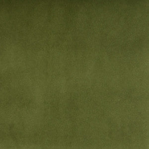 B3906 Kiwi by Greenhouse Fabric