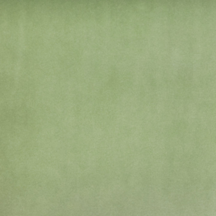 B3909 Mint Julep by Greenhouse Fabric 100% Polyester China 51,000 double rubs </p><p>Repeat: None 54" - Fabric Carolina -