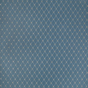B4071 Chambray by Greenhouse Fabric