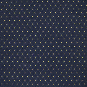B4075 Twilight by Greenhouse Fabric