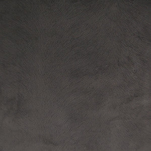 B4296 Coal by Greenhouse Fabric