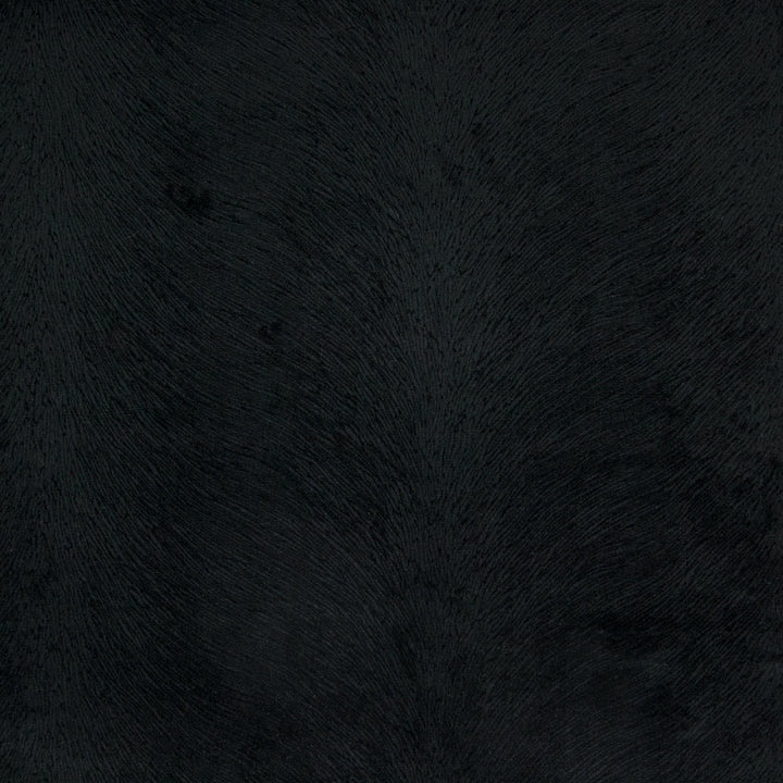 B4313 Black by Greenhouse Fabric E60: Essentials by Color 100% Polyester China 100,000 double rubs </p><p>Repeat: No Definite Repeat 57" - Fabric Carolina -