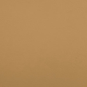 B5189 Zander Dune by Greenhouse Fabric