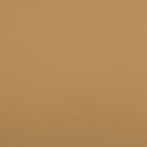 B5189 Zander Dune by Greenhouse Fabric