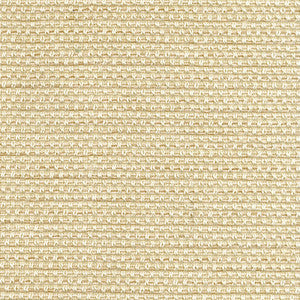 B5400 Snow by Greenhouse Fabric