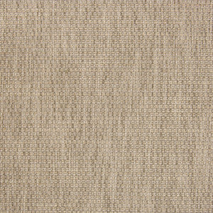 B5409 Gainsboro by Greenhouse Fabric