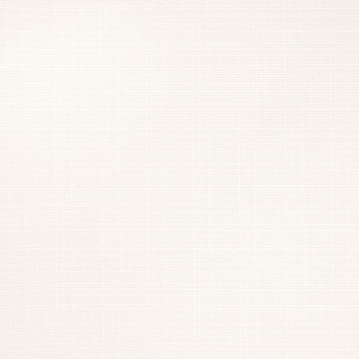 B5511 Salt by Greenhouse Designer Fabric 100% Polyester China 100,000 double rubs </p><p>Repeat: None 54" - Swanky Fabrics -