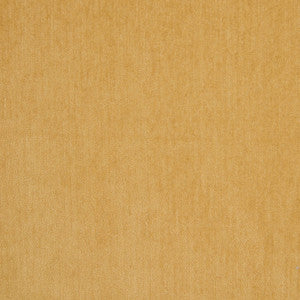 B5572 Cornsilk by Greenhouse Fabric