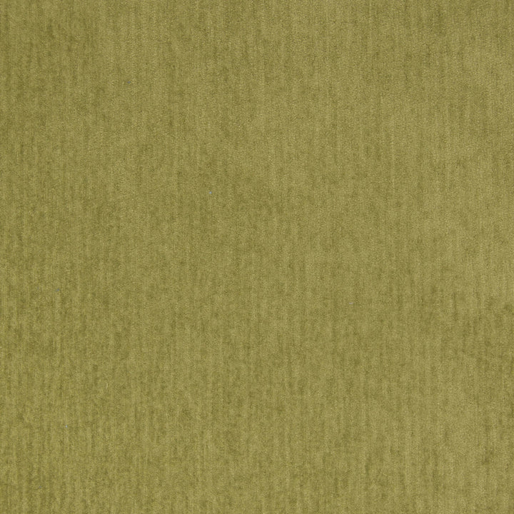 B5574 Moss by Greenhouse Fabric 100% Polyester China 50,000 double rubs </p><p>Repeat: NONE 54" - Fabric Carolina -
