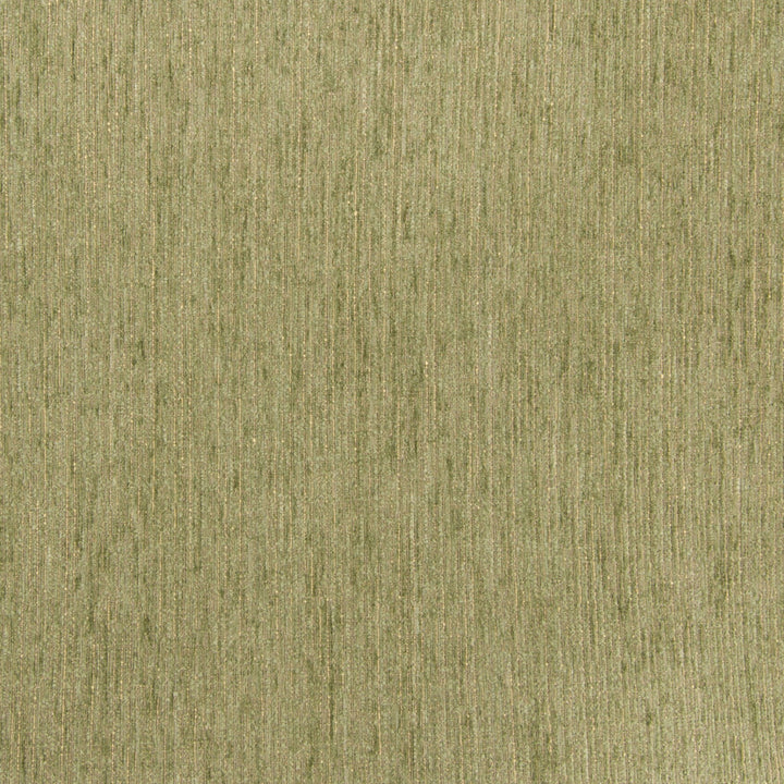 B5575 Celery by Greenhouse Fabric 100% Polyester China 50,000 double rubs </p><p>Repeat: NONE 54" - Fabric Carolina -