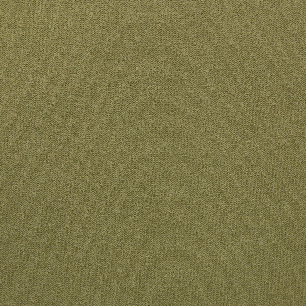 B5576 Basil by Greenhouse Fabric 100% Polyester China 50,000 double rubs </p><p>Repeat: NONE 54" - Fabric Carolina -