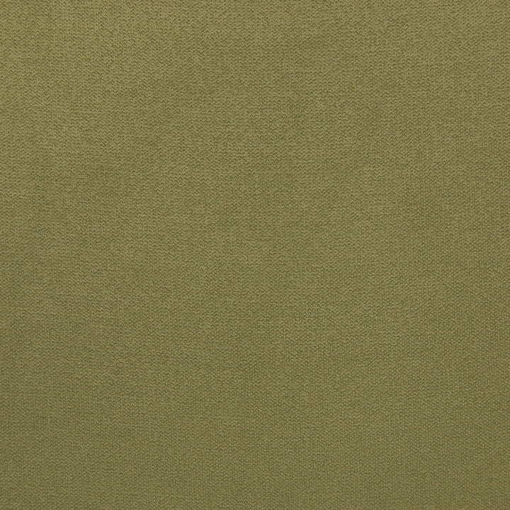 B5576 Basil by Greenhouse Fabric 100% Polyester China 50,000 double rubs </p><p>Repeat: NONE 54" - Fabric Carolina -