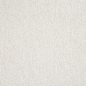 B5603 Cotton by Greenhouse Fabric