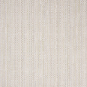 B5620 Rain by Greenhouse Fabric