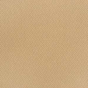 B5660 Ginger by Greenhouse Fabric
