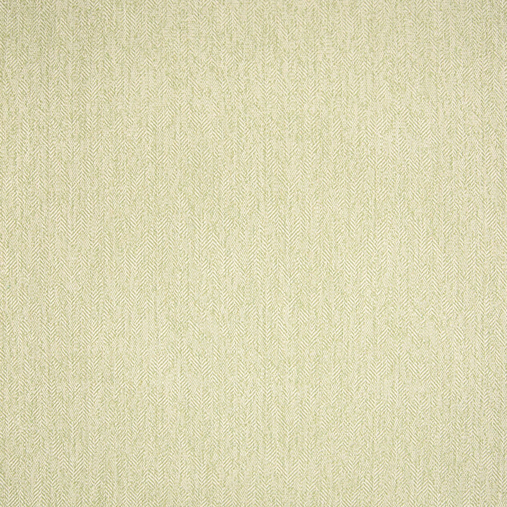 B5662 Sprig by Greenhouse Fabric 69.89% Rayon, 29.84% Polyester, .27% Nylon USA 50,000 double rubs </p><p>Repeat: No Definite Repeat 58" - Fabric Carolina -