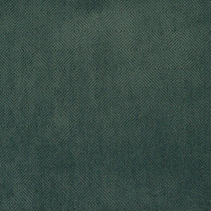 B5679 Calypso by Greenhouse Fabric