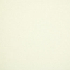 B5715 Snow by Greenhouse Fabric