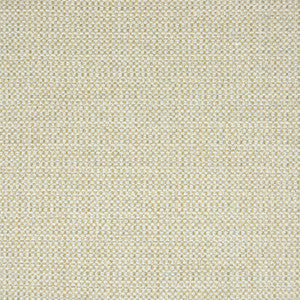 B6746 Mineral by Greenhouse Fabric