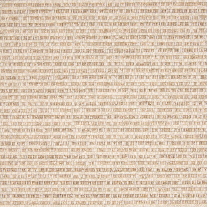 B6789 Shell by Greenhouse Fabric 100% Polyester China 25,000 double rubs </p><p>Repeat: No Definite Repeat 59" - Fabric Carolina -