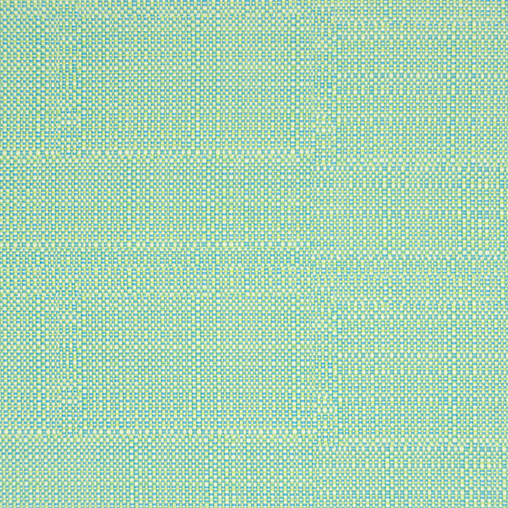 B6876 Turquoise by Greenhouse Fabric 100% Polypropylene China 38,000 double rubs </p><p>Repeat: .50" H, .50" V 54" - Fabric Carolina -